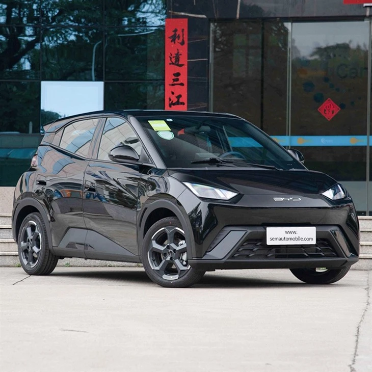 2024 Seagull EV 